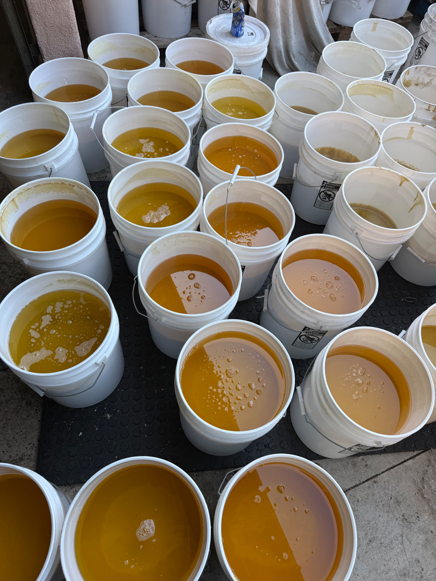 Expired cooking oil in buckets reviewed for recycling eligibility Open buckets of expired amber and yellow cooking oil being evaluated for recycling or destruction